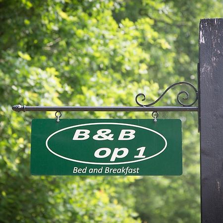 Bed & Breakfast Orvelte Exteriér fotografie
